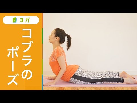 コブラのポーズ〜やり方とコツをわかりやすく解説〜