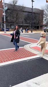 Funny Poodle 🐶🤣🥰🤪#dog #poodle #dogsoftiktok #funnydog #cutedog #funnyvideos #usa | Kat & Oliver