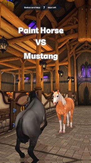 Who Would Win? #catknightsso