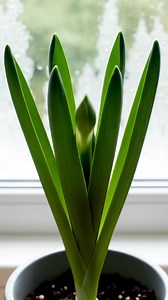 1.8M views · 30K reactions | 5 secrete pe care fermierii nu ți le...