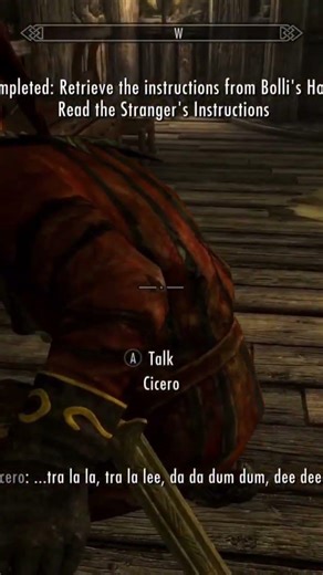 #skyrim the best follower🤣