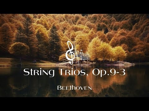 ベートーヴェン：弦楽三重奏曲第5番 ハ短調 Op.9-3
