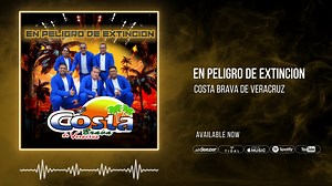 11K views · 105 reactions | Costa Brava De Veracruz - En Peligro De Extincion sg music inc #costabravadeveracruz #sgmusicinc | SG Music INC | Facebook