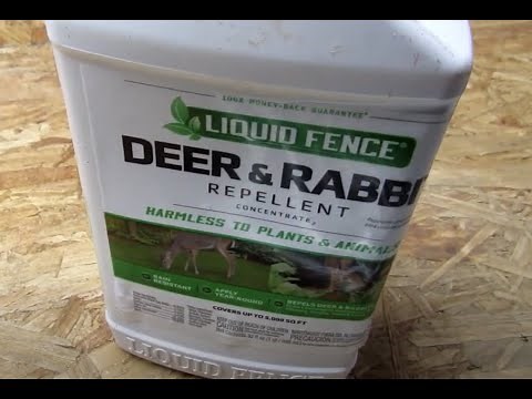 Keeping Deer Out of the Garden: Part 2, Liquid Fence Spray