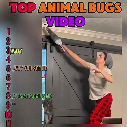 Top Animal & Bug Moments 🐾🪲 | Funny & Crazy Wildlife Clips!