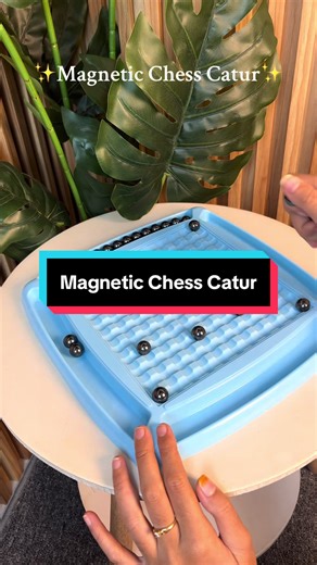 Discover the Magnetic Chess Set