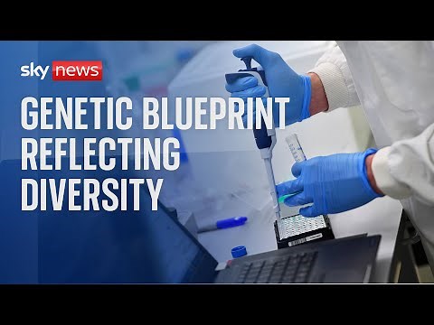 Genetics Breakthrough: Promising new era of ethnic diversity-informed tests and treatments