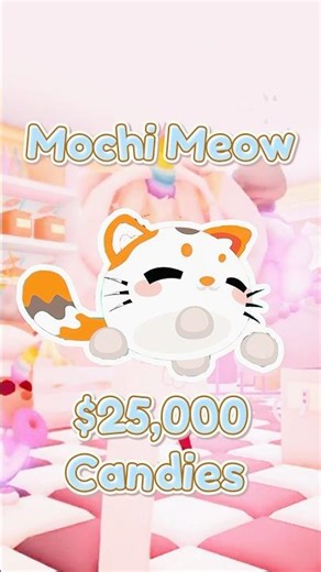 NEW Mochi Meow‼️