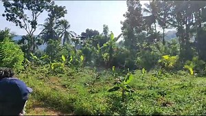 Drone demonstration kodombelur panchayath. #ViksitBharatSankalpYatra PMO India PIBIndia PIB in Kerala All India Radio News #airnewstvm Ministry of Information & Broadcasting, Government of India AIR VIDEO : P Jaganivasan, PTC: Kasargode | All India Radio News Thiruvananthapuram