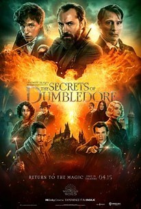Fantastic Beasts: The Secrets of Dumbledore | Cast and Crew | Rotten Tomatoes