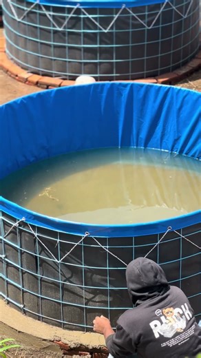 catfish pond installation