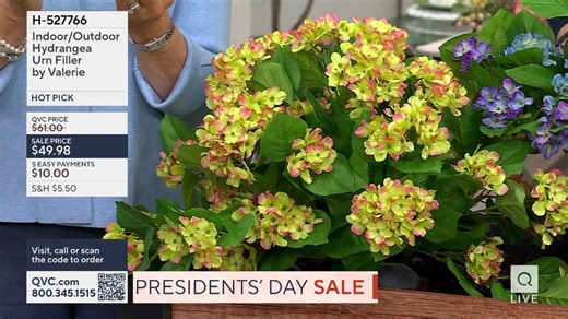You are watching House to Home by Valerie on QVC®. Shop the show, here: https://qvc.co/qvcshopnowfebruary2026 | QVC Live
