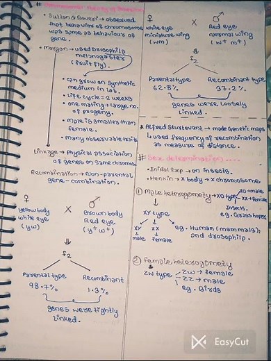 Class-12th|| Biology Chapter:-4(Principal of inheritance and variations) Handwritten notes 💖💖💖