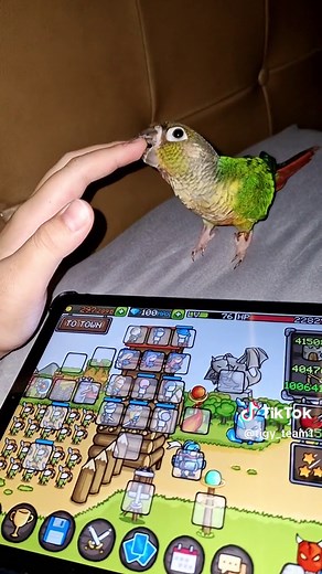 pickle_tickle (@pickle_tickle07)’s videos with original sound - 𝐗𝐀𝐂𝐄𝐑𝐌𝐀𝐍𝐄