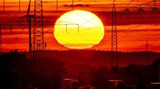 Climate change fuels spread of dangerous Aspergillus fungus