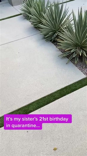 Autumn Chiklis on TikTok
