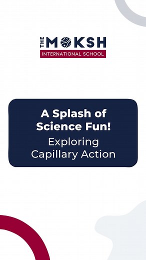 💦 Walking Water: A Mesmerizing Capillary Action Experiment for Kids! 🌈 Watch as water "walks" effortlessly between glasses. This fascinating process happens thanks to capillary action—the liquid's ability to flow through narrow spaces without external help, even against gravity! Perfect for curious little scientists. 🧪✨ #WalkingWaterExperiment #ScienceForKids #FunWithScience #CapillaryAction #STEMLearning #ScienceIsFun #HandsOnLearning #EducationalExperiments #ColorfulScience #LittleScientist