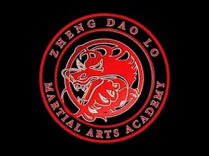 Choi Li Fut basics