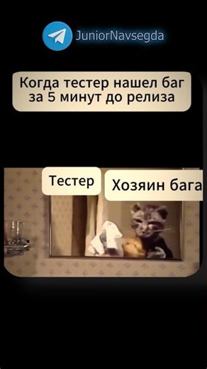 Тгк: juniornavsegda #программирование #codingmemes #recommendations #войтивайти #juniornavsegda