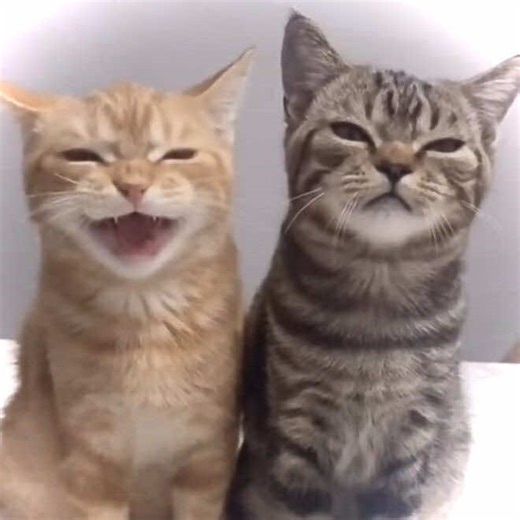 I wouldn’t really tho 😳 @cordiformhyuna ILYYY HEHEHEHEH MWA ALSO SORRY IF TS IS ASS IM ON LOW BATTERY SO KINDA RUSHED BUT WTV MWAAA #ivantill #alnst #tillivan #alienstage #meandtwin