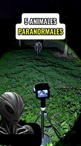5 ANIMALES PARANORMALES CAPTADOS 😨⚠️👽 #alien #alienigenas #extraterrestres #misterio #miedo | Aliens y Conspiración