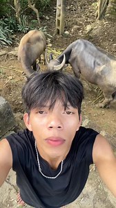 Kuv yog AI 🤣🤣#sonxavua | Sơn Soo Yoon