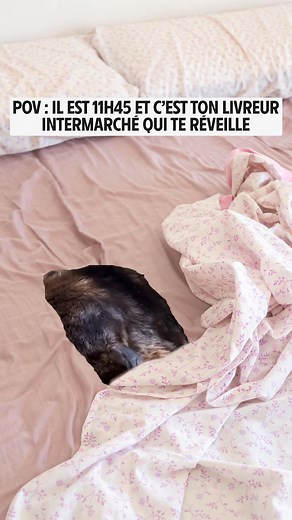 Profitez de votre matinée grâce à la livraison à domicile Intermarché partout en France. | Intermarché