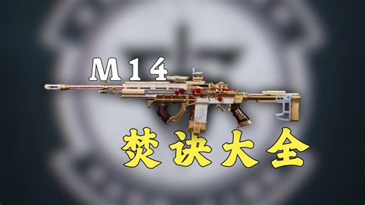 最强性价比神器的焚诀大全，满改m14居然只要六十多万！