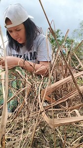 Begini la dulu² masa lum ada tandas kan🤣. Pakai kayu atau daun utk lap pantat..Pastu ada anjing lg menunggu mo mkn tu taih kita🤣🤣🤣... #fbpro #fbprofesional #ContentMonetization #nanangmika | Nanang Mika