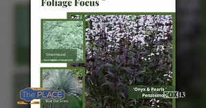 Learn about No-Fail Planting Design at the Salt Lake Home   Garden Show