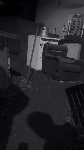 Please blow this up YT #saddogs #doglife #sad #cry