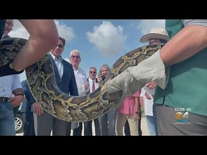 It's time for the annual Python Challenge