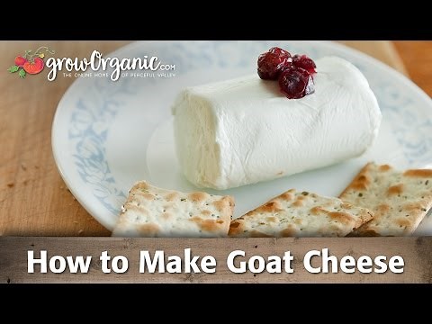 How to Make Organic Goat Cheese
