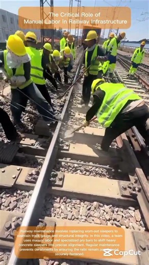 How Synchronized Teamwork Ensures Global Transport Safety