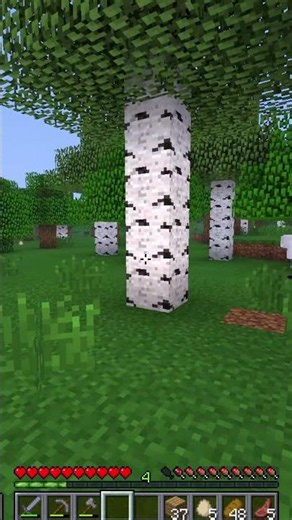 This is the CRAZIEST Minecraft horror mod!