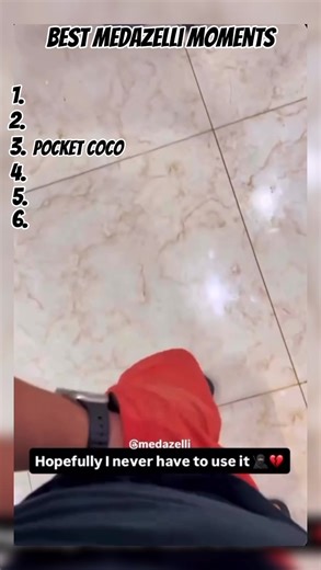 Hilarious Animal Memes That Will Make You Laugh!