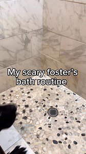 30M views · 1M reactions | Do you think Regulus enjoyed it?...