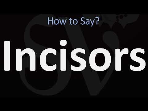 How to Pronounce Incisors? (CORRECTLY)