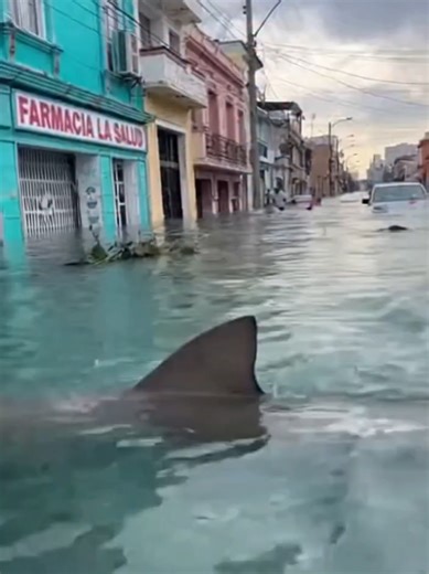 .giovanni d'agata su TikTok