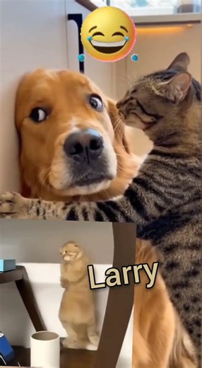 He Called His Cousin 🐾