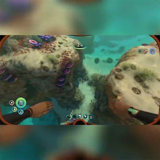 Ocean Creature Attack Almost Got Me! 😱