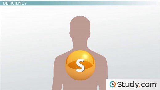 Sulfur Deficiency & Toxicity Symptoms