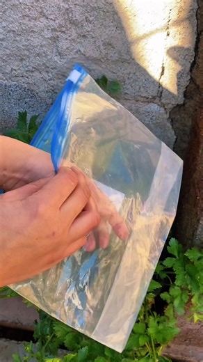 #invantion #crafts #tips #diy