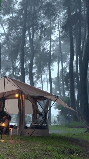 Coziest Rain under a Big Tent! Relaxing solo camping in heavy rain, ASMR #shorts #campinginheavyrain (2) #adventure #travel #nature #wanderlust #mountains #outdoors #travelgram #love #landscape | TS Adventure