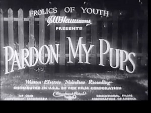 2.5K views · 71 reactions | Doll Week Movie Feature: Pardon my Pups Pardon My Pups is a 1934 Shirley Temple short film about a young boy named Sonny Rogers who wants a motorcycle for his birthday but it's too expensive so instead he gets a puppy from his strict father. | Ruby Lane Dolls | Facebook