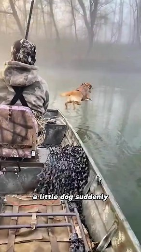 1.1K views · 47 reactions | The puppy saved the drowning squirrel animals squirrel cute friendship fyp | Loveanimals69 | Facebook