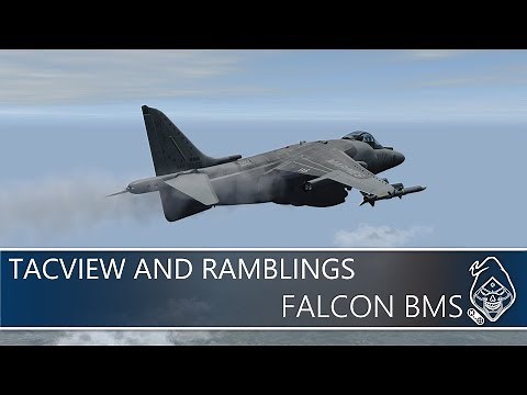FALCON BMS: TACVIEW AND RAMBLINGS