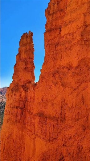 Towering Hoodoos Along the Trail, Bryce Canyon National Park