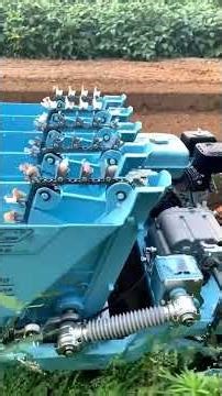 5-Row Self-Propelled Garlic Planter in Action | Denraks Machinery