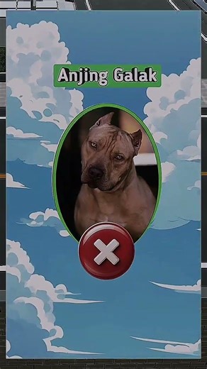 Bismillah 30 Desember 2025